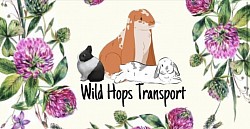 Transporter
