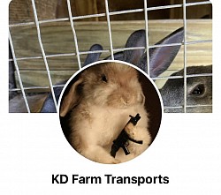 Transporter