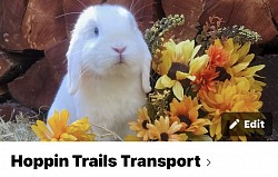 Transporter