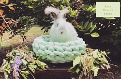 English Angora (Broken Chocolate)