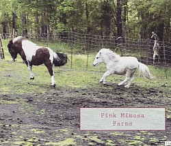 Mini horses