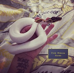 Ball python