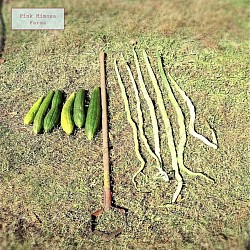 Veggies