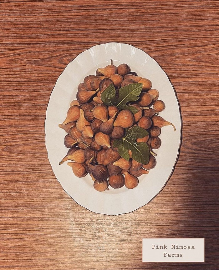 Figs